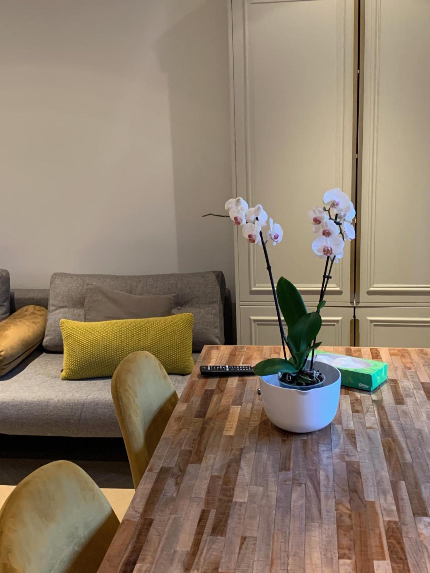 B&B Florapark Haarlem Ngoại thất bức ảnh